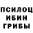 Псилоцибиновые грибы Psilocybine cubensis danik08