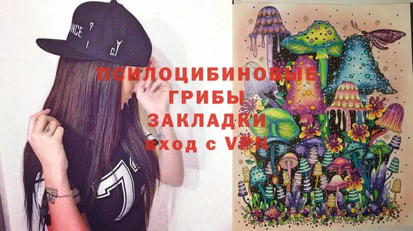 apvp Алексеевка