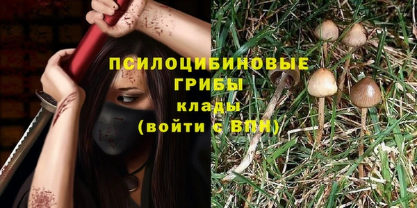 apvp Алексеевка