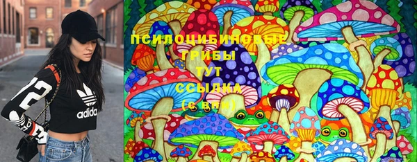 Альфа ПВП Алзамай