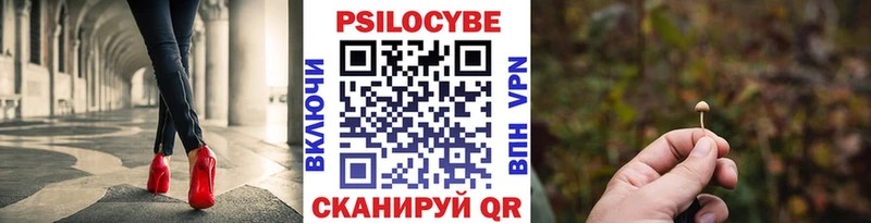Псилоцибиновые грибы Psilocybe  Островной 